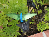 Solar Dancing hummingbird Garden yard Flying on flower bed