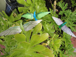Solar Dancing hummingbird Garden yard Flying on flower bed