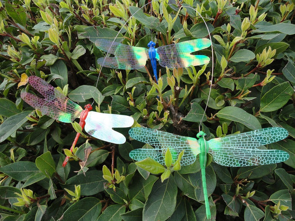 Solar Dancing Dragonfly Garden yard Flying on flower bed