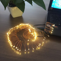 2-20M USB LED Copper Wire String Lights Fairy Lights Xmas Party Waterproof 5V